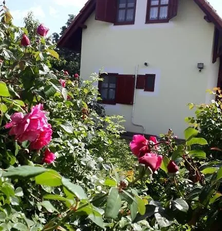 Kitti Vendeghaz Guest house Tiszafured