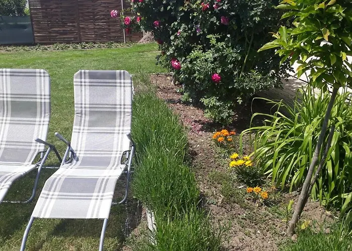 Kitti Vendeghaz *