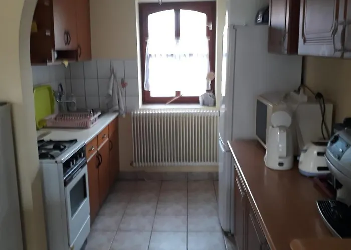 Kitti Vendeghaz Tiszafüred